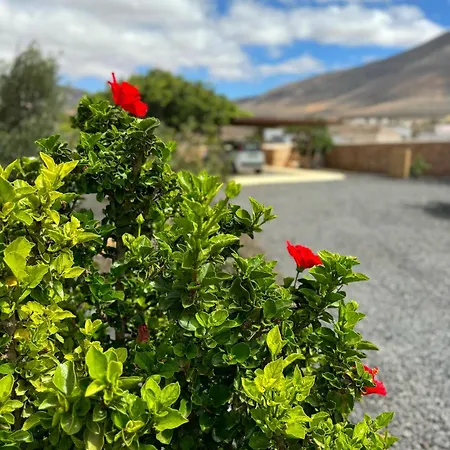 度假居 Casa Marisa With Heated Pool & Garden