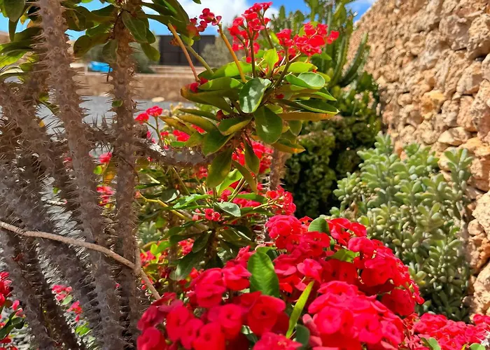 Casa Marisa With Heated Pool & Garden Nyaraló Tindaya