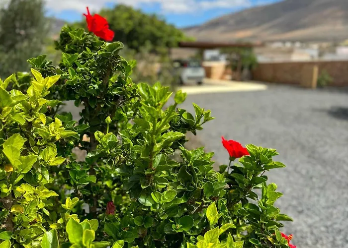 Nyaraló Casa Marisa With Heated Pool & Garden
