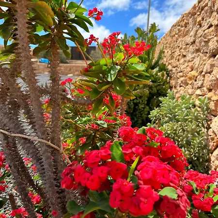 Casa Marisa With Heated Pool & Garden Holiday home Tindaya